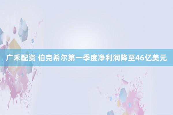 广禾配资 伯克希尔第一季度净利润降至46亿美元