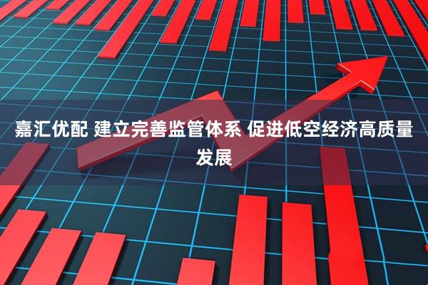 嘉汇优配 建立完善监管体系 促进低空经济高质量发展