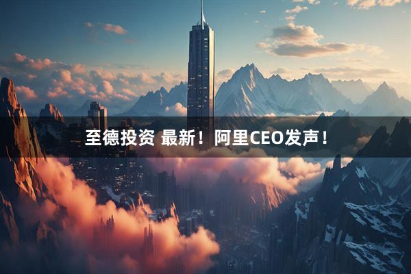至德投资 最新！阿里CEO发声！